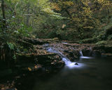 Hareshaw Linn
