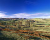 Wooler