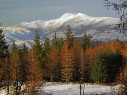 A Snowcapped Skiddaw From Raven Crag