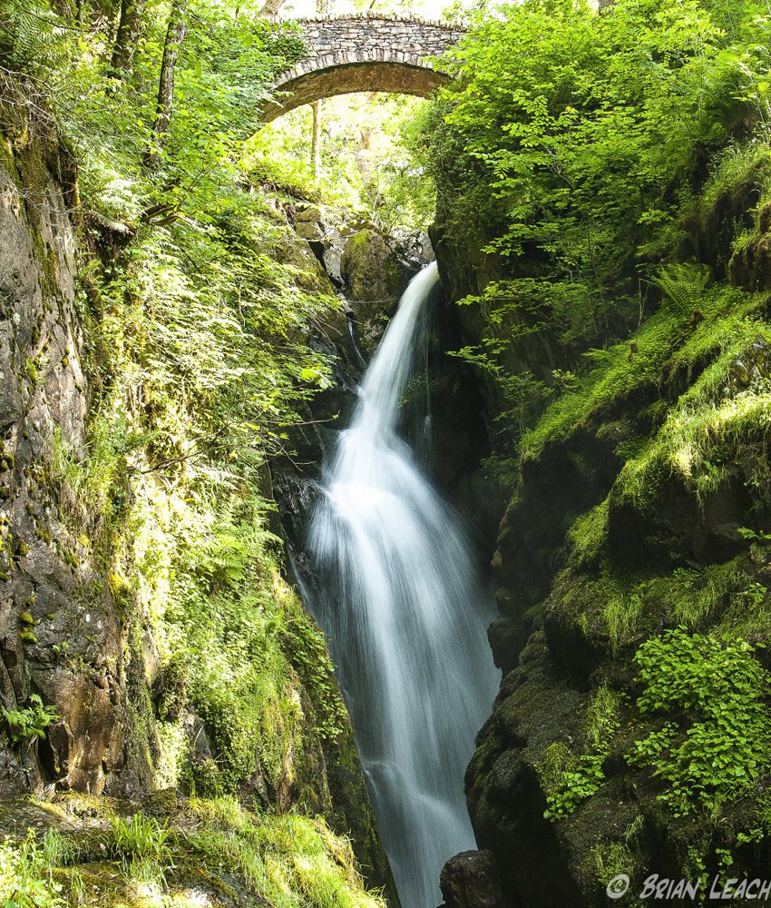 Aira Force