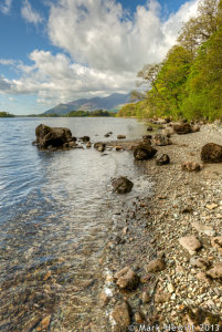 Along The Shoreline