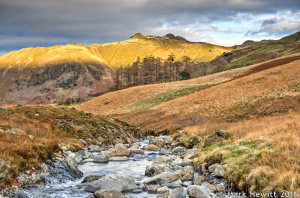 Deepdale