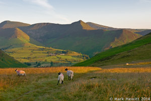 Ard Crags, Scar Crag & Causey Pike