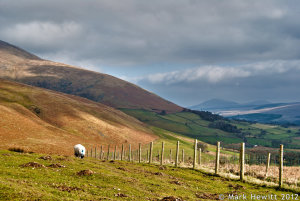 Ascent to Skiddaw
