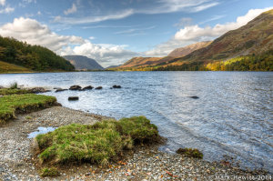 Buttermere Shoreline