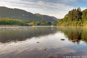 Calm At Strandshag Bay