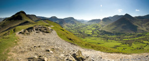 Catbells & Newlands Valley From Skelgill Bank