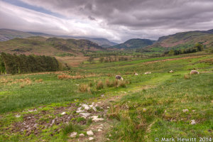 Cloudy Sky Over Castlerigg