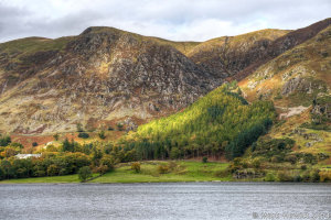 Crag Wood From Buttermere