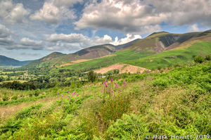 Dodd & Skiddaw From Latrigg