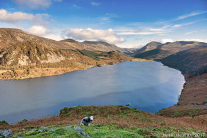 Angler's Crag (Ennerdale)
