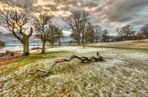 Frosty Strandshag Bay