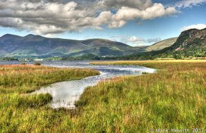 Great Bay Marshland