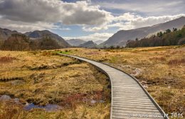 Kings How, Castle Crag & High Spy