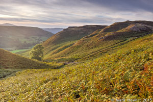 Last Light At High Rigg