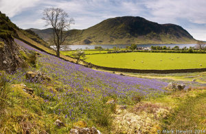 Melbreak From Rannerdale