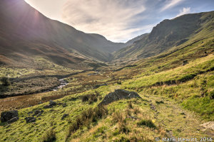 Pasture Beck