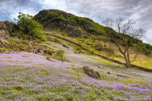 Rannerdale & Crummock Water