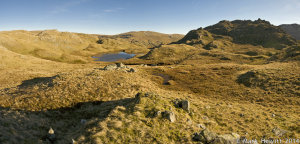Rosthwaite Fell Viewpoint