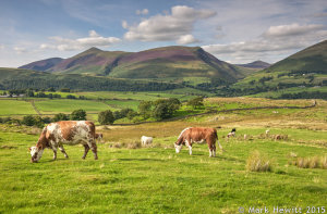 Skiddaw & Lonscale Fell From Low Rigg