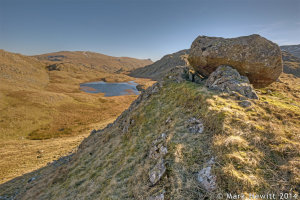 Tarn At Leaves