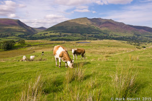 Tewet Tarn & Blencathra From Low Rigg