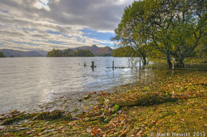 The Bay Of Fallen Leaves