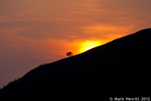 The Last Light