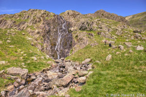 Tongue Gill