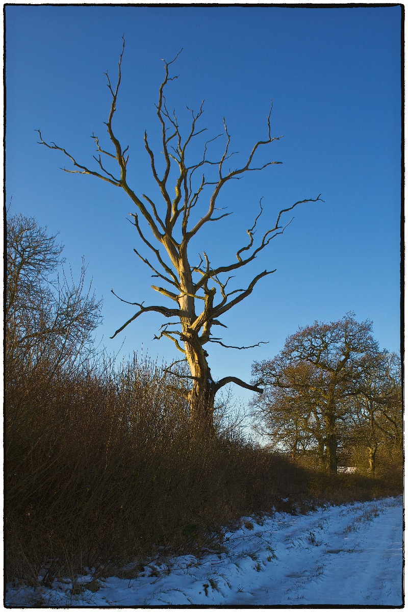 Standing Alone.....