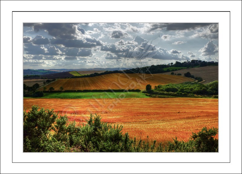 Sunshine and Showers after the Harvest