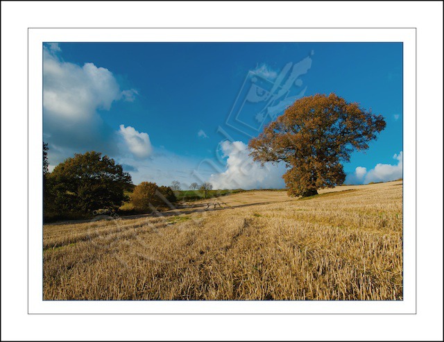 Rutland in Autumn.....