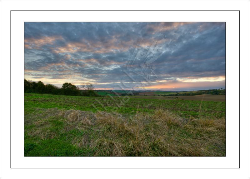 Autumn Skies