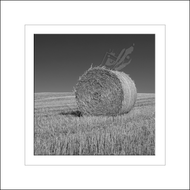 After the Harvest
