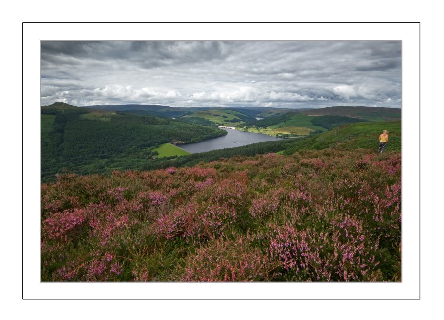 Bamford Edge