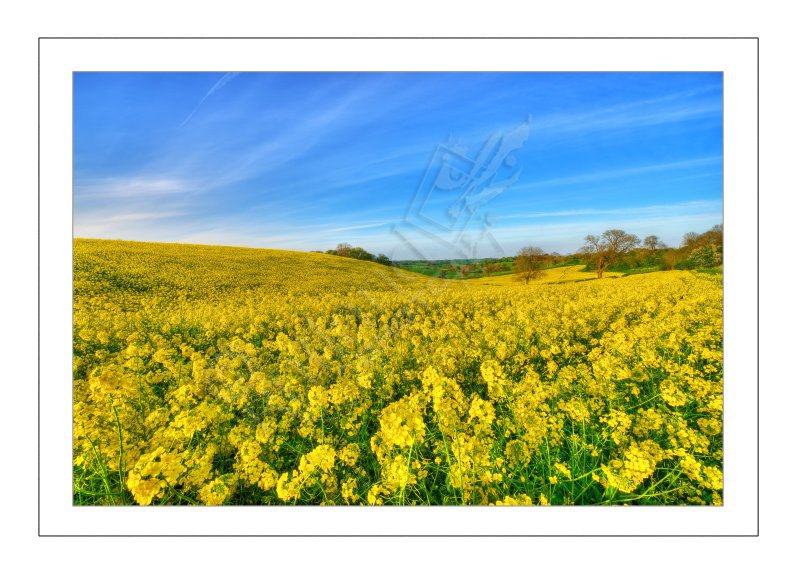 Across the Chater Valley from Ridlington