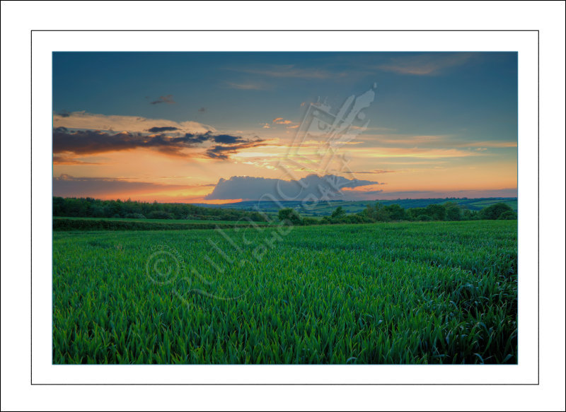 Distant Storm Cloud at Sunset