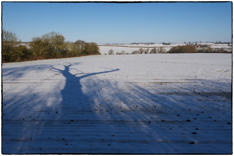 In the shadow of the Tree
