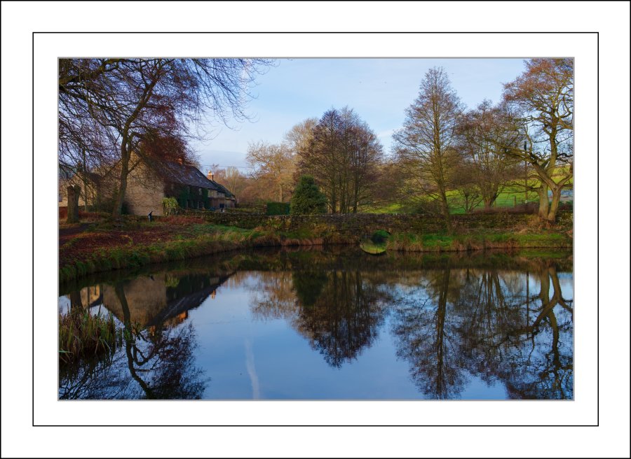 The Old Mill Pond