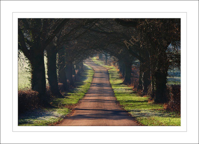 Lyndon Avenue, Rutland