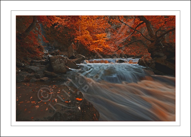 Mallyan Spout