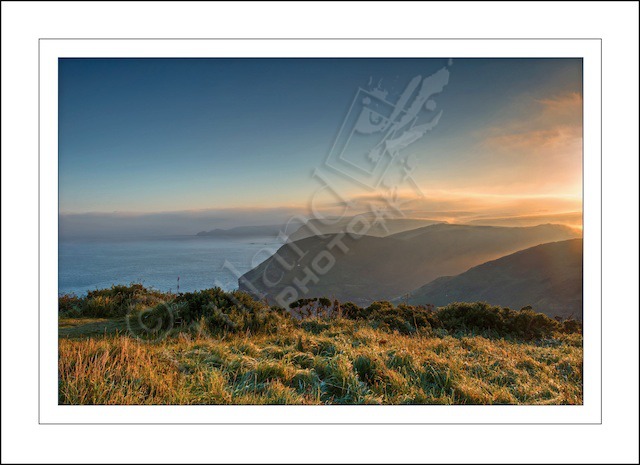 Cornish Mist