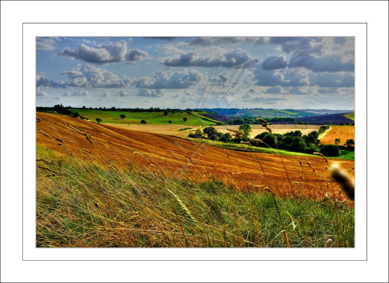 Over the Valley