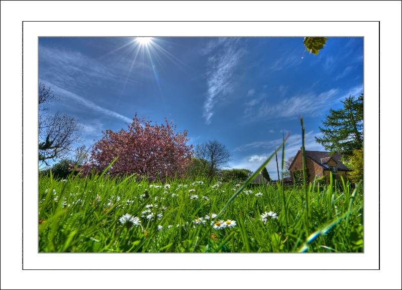 Spring Time in the Village