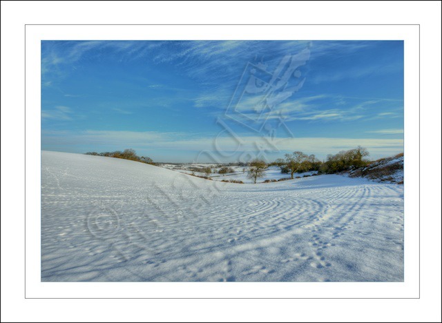 Sunny Winter's Day