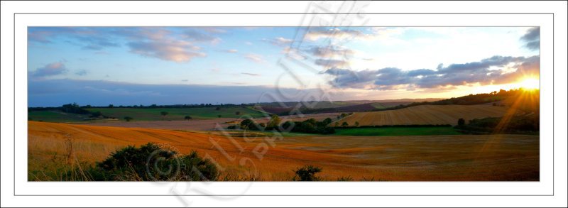 Sunset Panorama