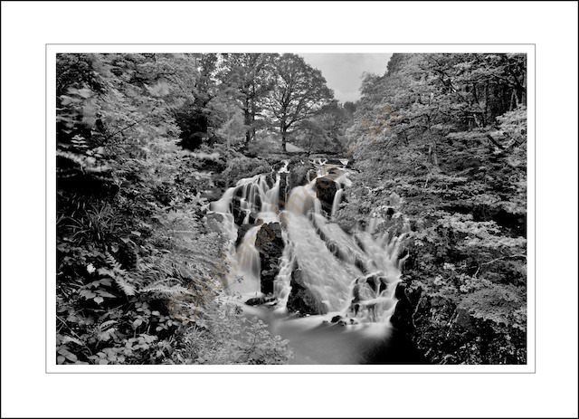 Swallow Falls