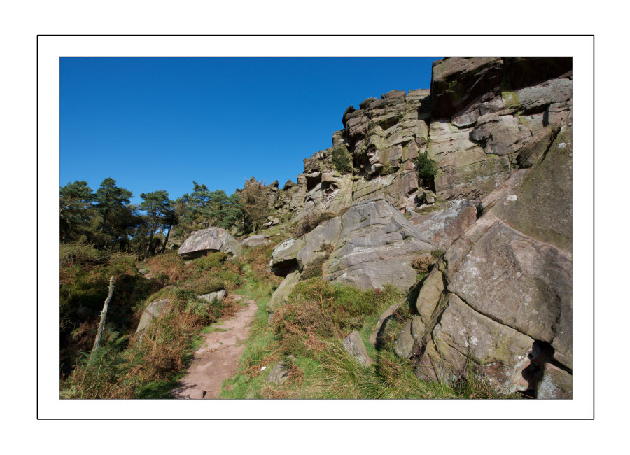 Looking up to the Roaches
