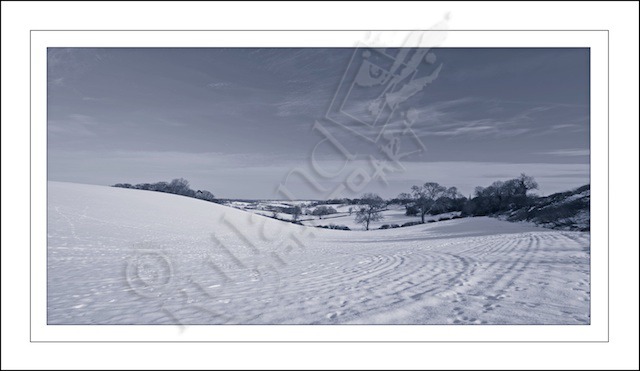 A winter landscape B&W