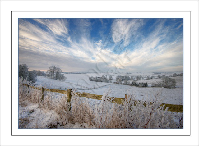 Winter Wonderland